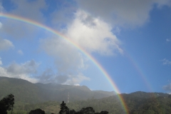 rainbow